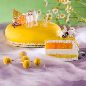 glassa_splendidea_mango_6855
